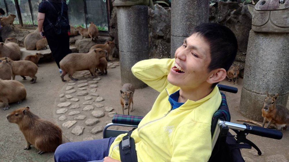 20261027100743.10.22-23 伊豆旅行_261025_261.jpg 20261027100743.10.22-23 伊豆旅行_261025_261.jpg